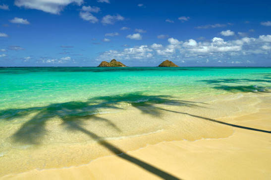 Hawaii vacation view